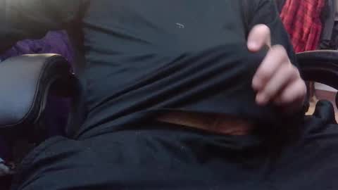 stray cat online show from 16, 12, 2025