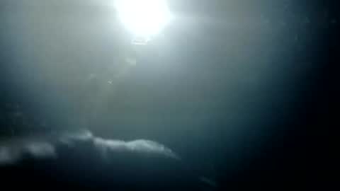 Bigdickdugan online show from 26, 1, 2025