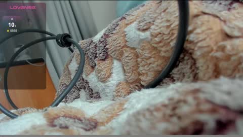 stupid little kitten online show from 10, 1, 2025