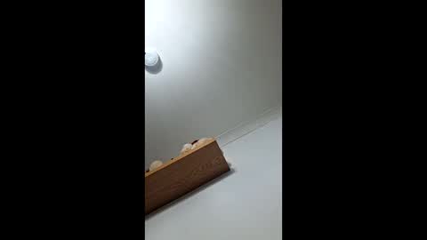 sub199958 online show from 21, 12, 2025