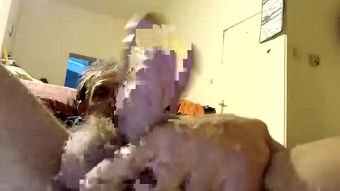 suckmeplease70 online show from 26, 4, 2026