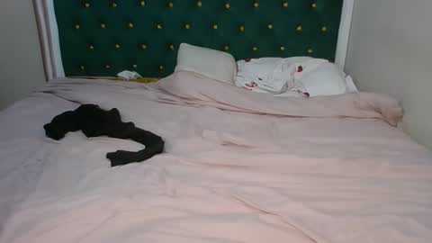 sugarboogers_ online show from 12, 2, 2026