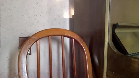 Snapshot of sumjang chatting on 16, 2, 2025 Sumjang and Luksmen online show from 16, 2, 2025