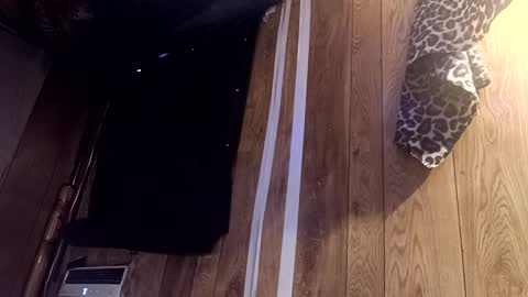 Snapshot of summerdivine69 chatting on 22, 2, 2025 Summer Divine online show from 22, 2, 2025