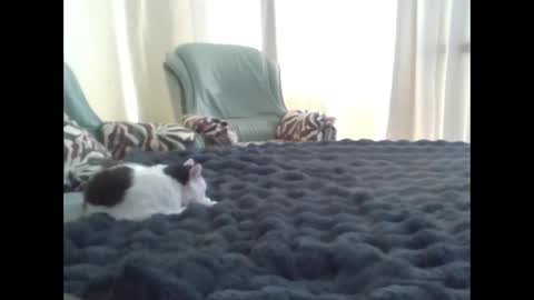 suni online show from 10, 3, 2025