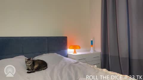 Amy online show from 4, 6, 2026