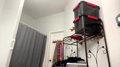 Snapshot of sunny_clementine chatting on 4, 11, 2025 Sunny Clementine online show from 4, 11, 2025