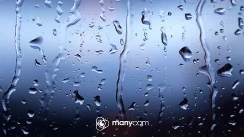 sven online show from 12, 1, 2026