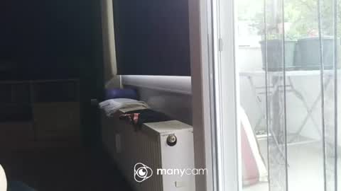 Snapshot of sunnybigboy88 chatting on 28, 6, 2026 sven online show from 28, 6, 2026