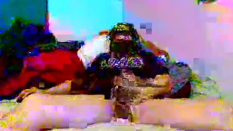 supermanloverhg online show from 2, 1, 2025