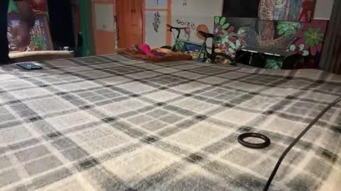 Snapshot of supremelifers chatting on 2, 12, 2024 Stony online show from 2, 12, 2024