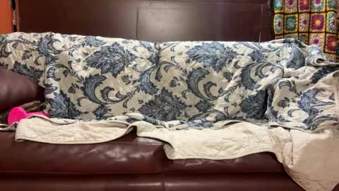 Snapshot of supremelifers chatting on 14, 1, 2025 Stony online show from 14, 1, 2025