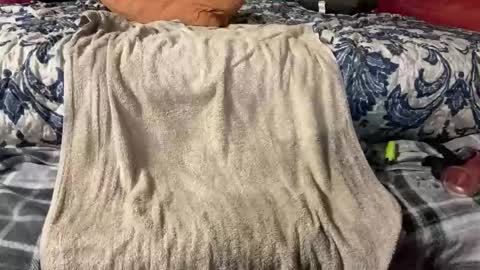 Snapshot of supremelifers chatting on 3, 3, 2025 Stony online show from 3, 3, 2025