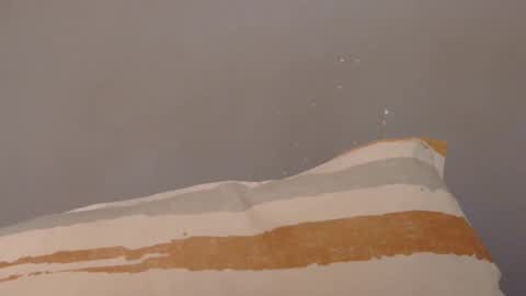 Snapshot of surbang chatting on 15, 9, 2025 surbang online show from 15, 9, 2025