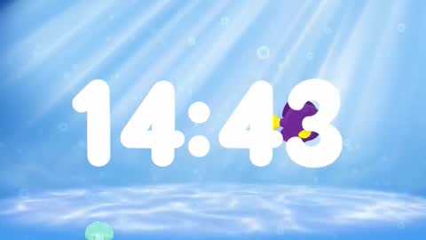 Susan online show from 13, 11, 2025