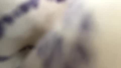 Andy online show from 30, 1, 2025