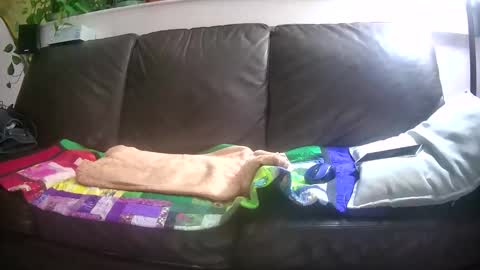 Otto online show from 26, 10, 2025