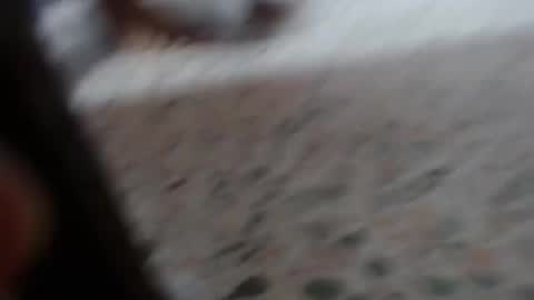 Snapshot of suxxxy_ chatting on 29, 1, 2025 Suxxxy online show from 29, 1, 2025