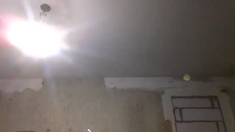 Snapshot of svetifox chatting on 19, 1, 2025 Sveti online show from 19, 1, 2025