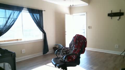 Snapshot of swals chatting on 2, 2, 2025 Swals online show from 2, 2, 2025