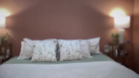 Swedish Candii online show from 25, 2, 2026