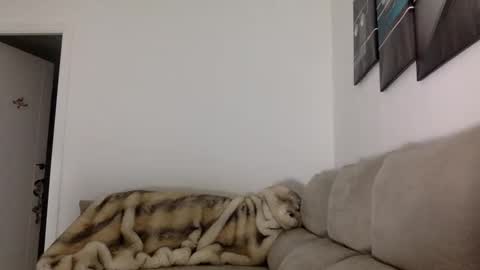 ALBA online show from 14, 11, 2025