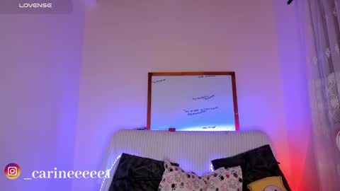 camil online show from 17, 12, 2024