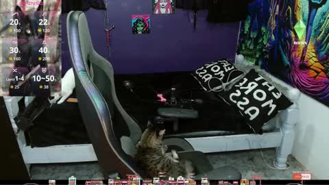 Snapshot of sweet_kitty66 chatting on 20, 9, 2025 elizabeth grey online show from 20, 9, 2025