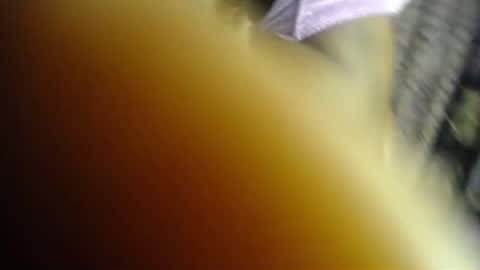 Snapshot of sweet_kush chatting on 22, 6, 2026 Kush online show from 22, 6, 2026