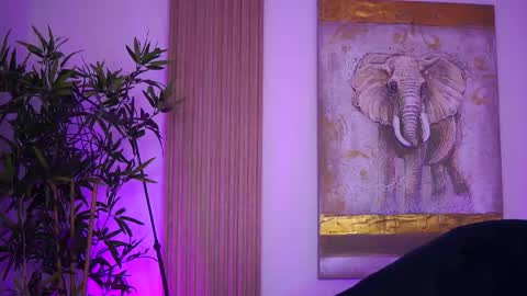 Lilly online show from 4, 10, 2025