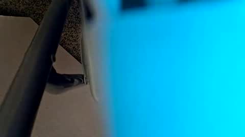 Snapshot of sweetboy842 chatting on 28, 1, 2025 sweetboy842 online show from 28, 1, 2025