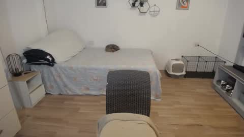 Snapshot of sweetcuteangel chatting on 5, 12, 2024 angel 3 online show from 5, 12, 2024