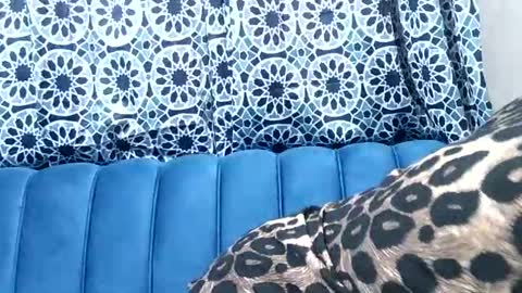 Snapshot of sweetgal11 chatting on 3, 7, 2026 sweetgal11 online show from 3, 7, 2026