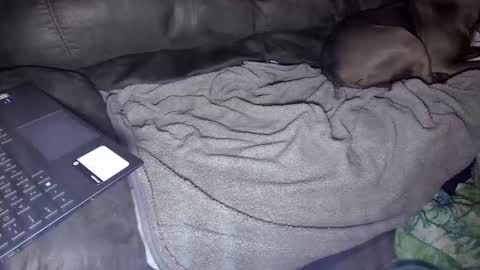 Snapshot of sweetgesus chatting on 5, 1, 2025 sweetgesus online show from 5, 1, 2025