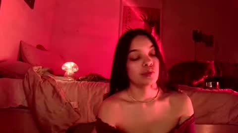 Snapshot of sweetieslikebutter chatting on 17, 12, 2024 Blu Sweets online show from 17, 12, 2024