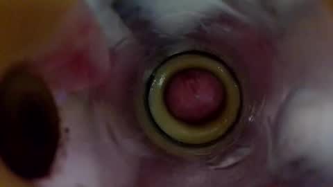 sweetkreme69 online show from 17, 10, 2025