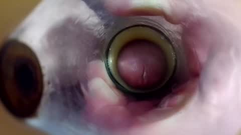 sweetkreme69 online show from 19, 10, 2025
