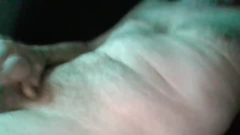 Snapshot of sweetpussylicks chatting on 17, 2, 2025 sweetpussylicks online show from 17, 2, 2025