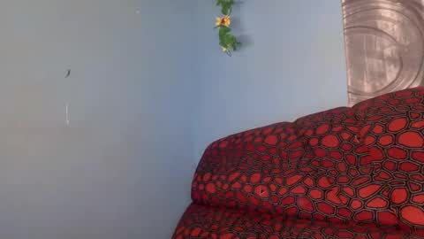 spicy online show from 16, 4, 2026