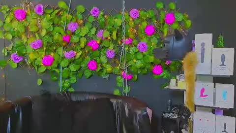 Snapshot of sweett_mollyy chatting on 28, 7, 2026 Molly - INDEPENDENT MODEL online show from 28, 7, 2026