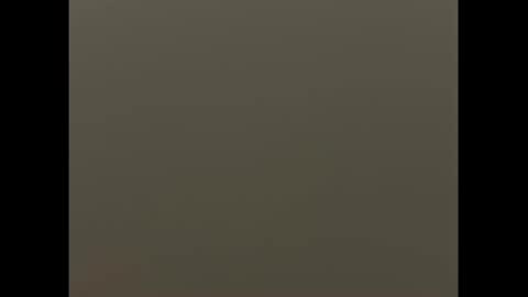 swimjock92262 online show from 9, 3, 2025