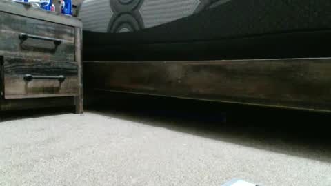 sxtn002 online show from 20, 12, 2024