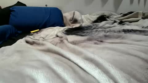 Snapshot of sybadog chatting on 19, 2, 2026 sybadog online show from 19, 2, 2026