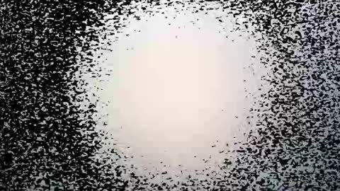 subfordomme online show from 28, 3, 2026