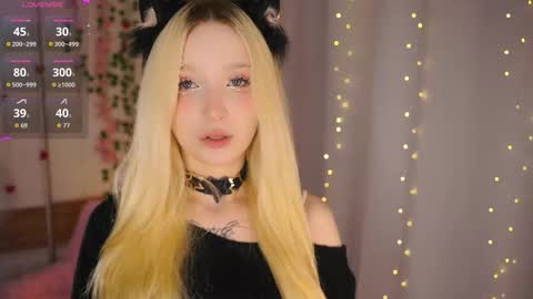 taitechubb online show from 15, 2, 2026