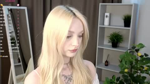 taitechubb online show from 14, 4, 2026