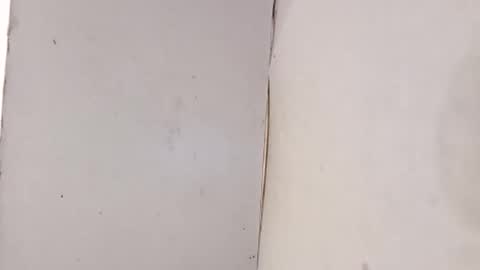 tall6feet7inch online show from 1, 2, 2026