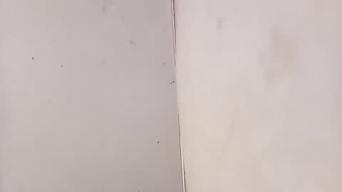 tall6feet7inch online show from 3, 2, 2026