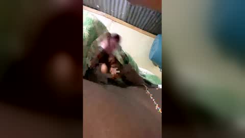 tamlindo online show from 12, 4, 2026