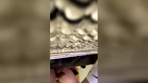 tampa0boner0donor online show from 19, 1, 2026